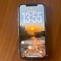 iPhone 11 Pro Max 256 GB