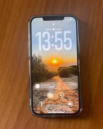 iPhone 11 Pro Max 256 GB
