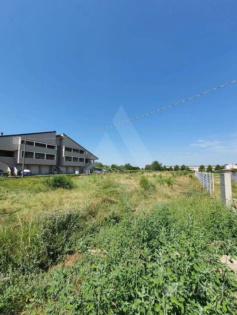 VILLA SELVA- SAN LEONARDO TERRENO AGRICOLO - Vista 4