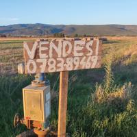 Terreno agricolo 