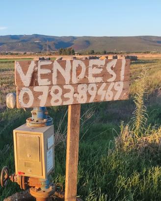 Terreno agricolo 