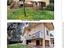 Immagine 12