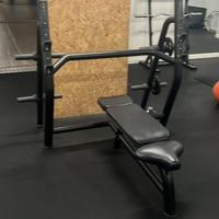 Panca piana technogym element