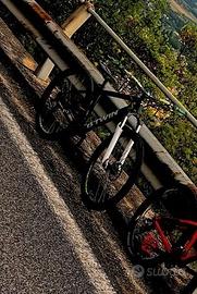 Wheelie bike
