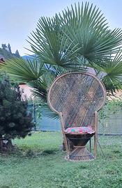 poltrona in vimini 