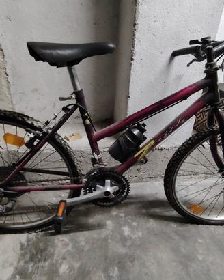 MTB ZENITH