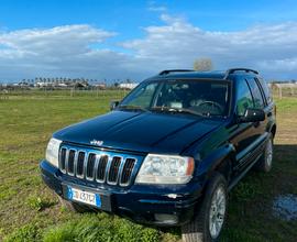 Auto jeep