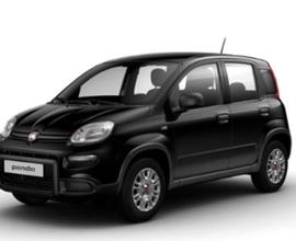 FIAT Panda 1.0 FireFly S&S Hybrid/ VARI COLORI
