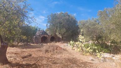 Vendita terreno con fabbricato trullo V. Castelli