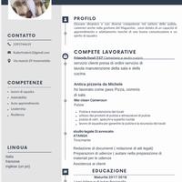 Pulizie, cameriere , magazziniere