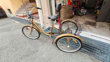 Bicicletta Triciclo per adulti