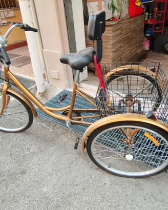 Bicicletta Triciclo per adulti