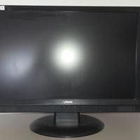 Monitor LCD 22 pollici