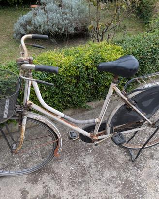 Bicicletta olandesina con copriraggi