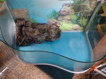 acquario tartarughe 