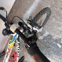 Mtb scott. 20”