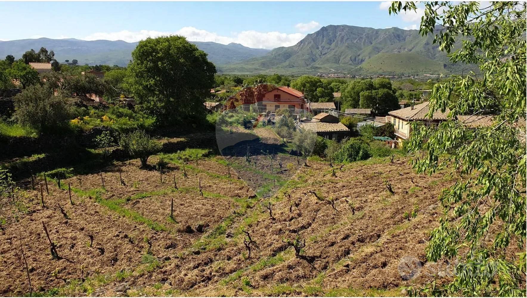 Terreno - Castiglione di Sicilia - Vista 3