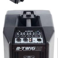 Sistema audio Ant b twig 8 - coppia + borse