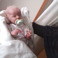 Reborn doll 