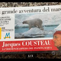 Cousteau