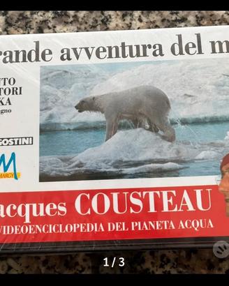 Cousteau