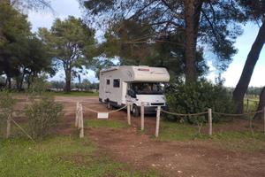 Camper Ford Chellenger 172