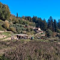 Carmignanello colonica in pietra con 10 ettari di
