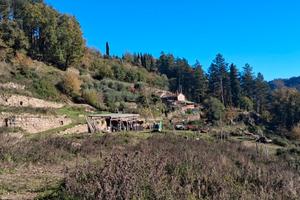 Carmignanello colonica in pietra con 10 ettari di