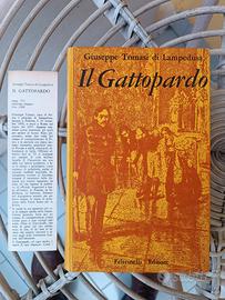 Il Gattopardo Tomasi di Lampedusa Giugno 1959
