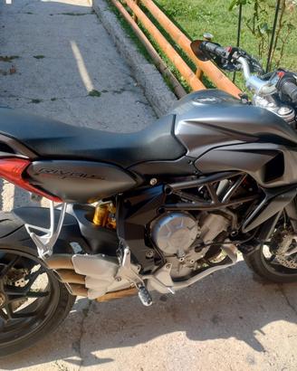 MV AGUSTA 800 RIVALE