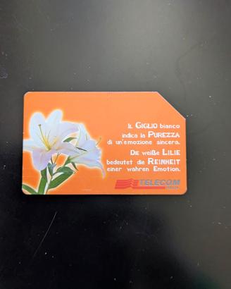 Scheda telefonica: Messaggi Floreali - giglio bili
