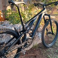 E-BIKE