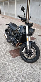 Benelli leoncino 500