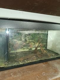 acquario usato