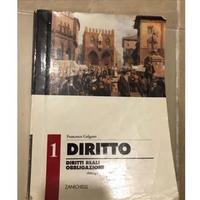 Diritto : diritti reali e obbligazioni
