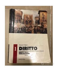 Diritto : diritti reali e obbligazioni