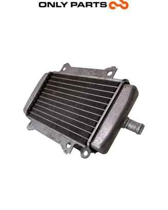 Radiatore Acqua Piaggio Vespa GT 200cc 2003 45394