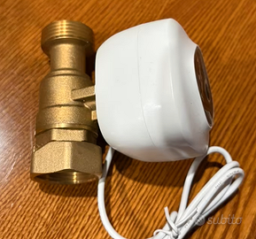 Valvola da 1 pollice smart wifi nuova