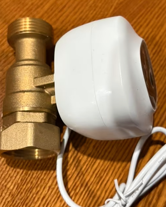 Valvola da 1 pollice smart wifi nuova