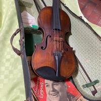 Violino Fine 800
