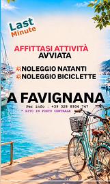 Favignana noleggio bici e natanti