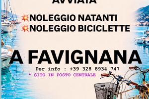 Favignana noleggio bici e natanti
