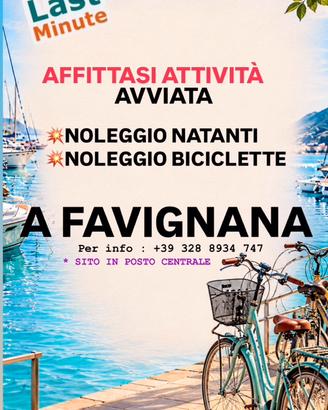 Favignana noleggio bici e natanti