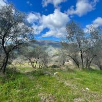 RUSTICO A COTTANELLO