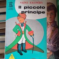 IL PICCOLO PRINCIPE
