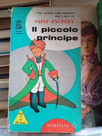 IL PICCOLO PRINCIPE