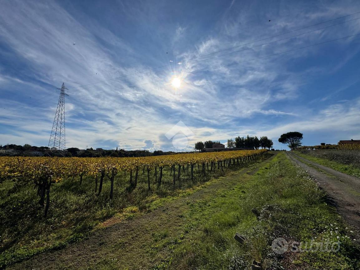TER. AGRICOLO A ARDEA - Vista 4