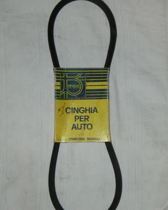 Cinghia trasmissione motore marca Fiat-Citroen