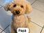 Immagine 6