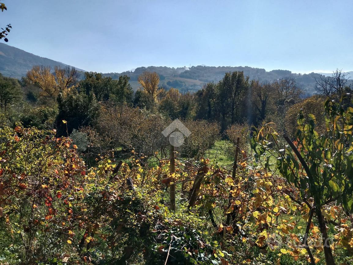 TER. AGRICOLO A SAN POTITO ULTRA - Vista 6